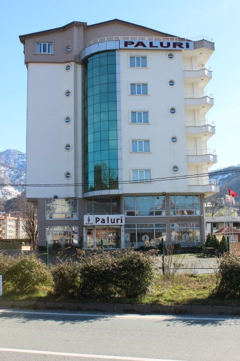 Paluri Hotel