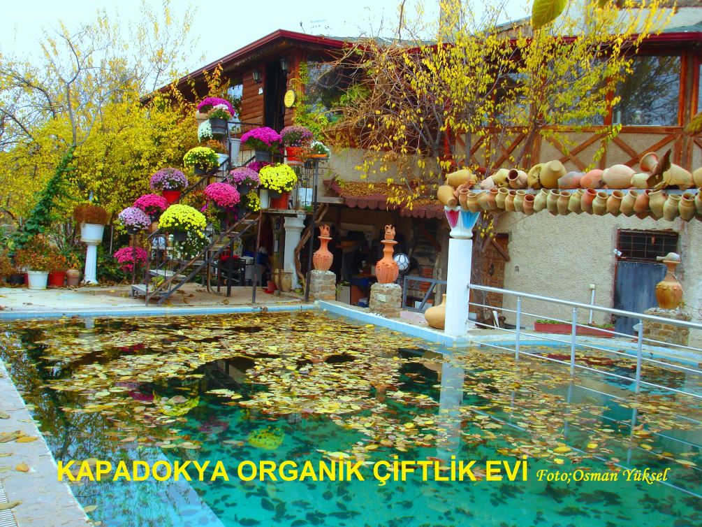 Kapadokya Organik Çiftlik Evi