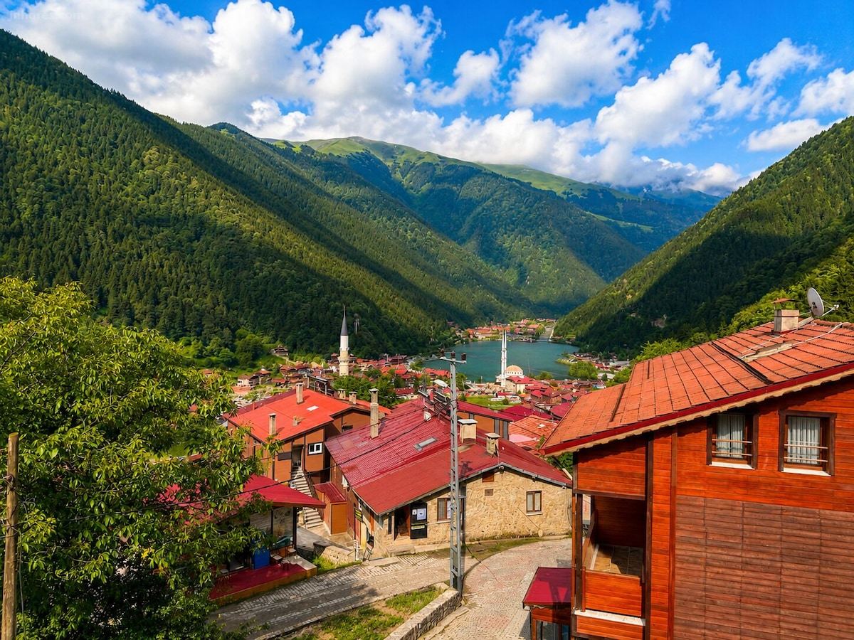 Şimo Suite