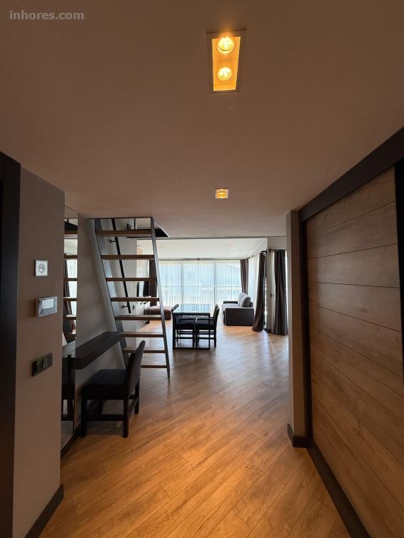 Z-Suites